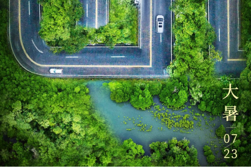 大暑安康 | PT电子绿色算力为您稳定护航