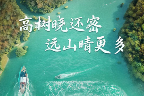 处暑安康 | PT电子与您共享风静草虫吟